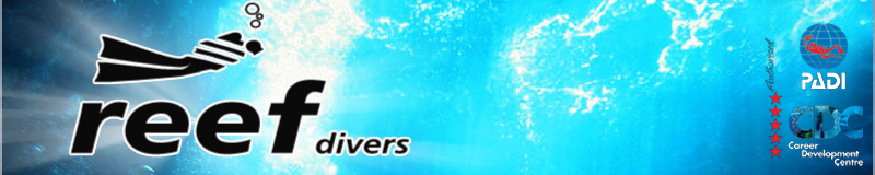 
Reef Divers