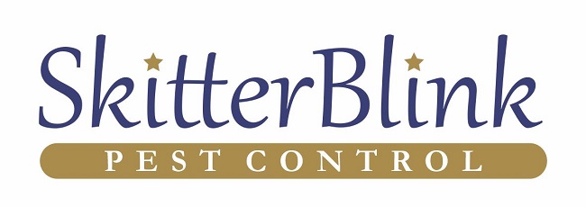 Skitterblink logo