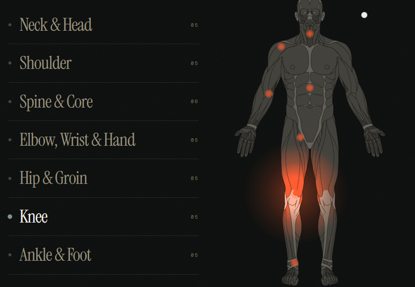 Drikus Klopper Physiotherapy logo