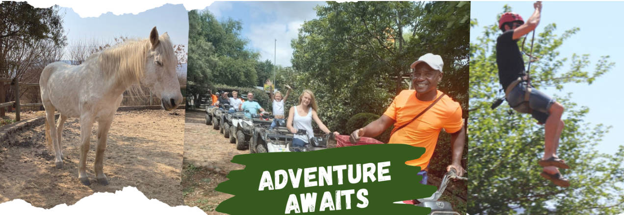 Hollybrooke Adventure Farm banner
