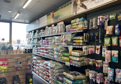 Absolute Pets