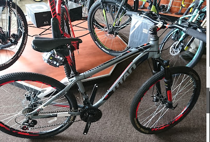 Cajees Cycle