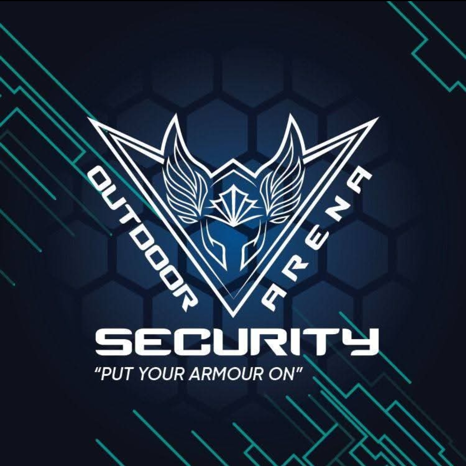 Outdoor Arena Security
